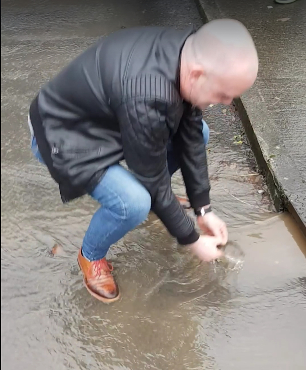Fish swimming on the street in Annacotty