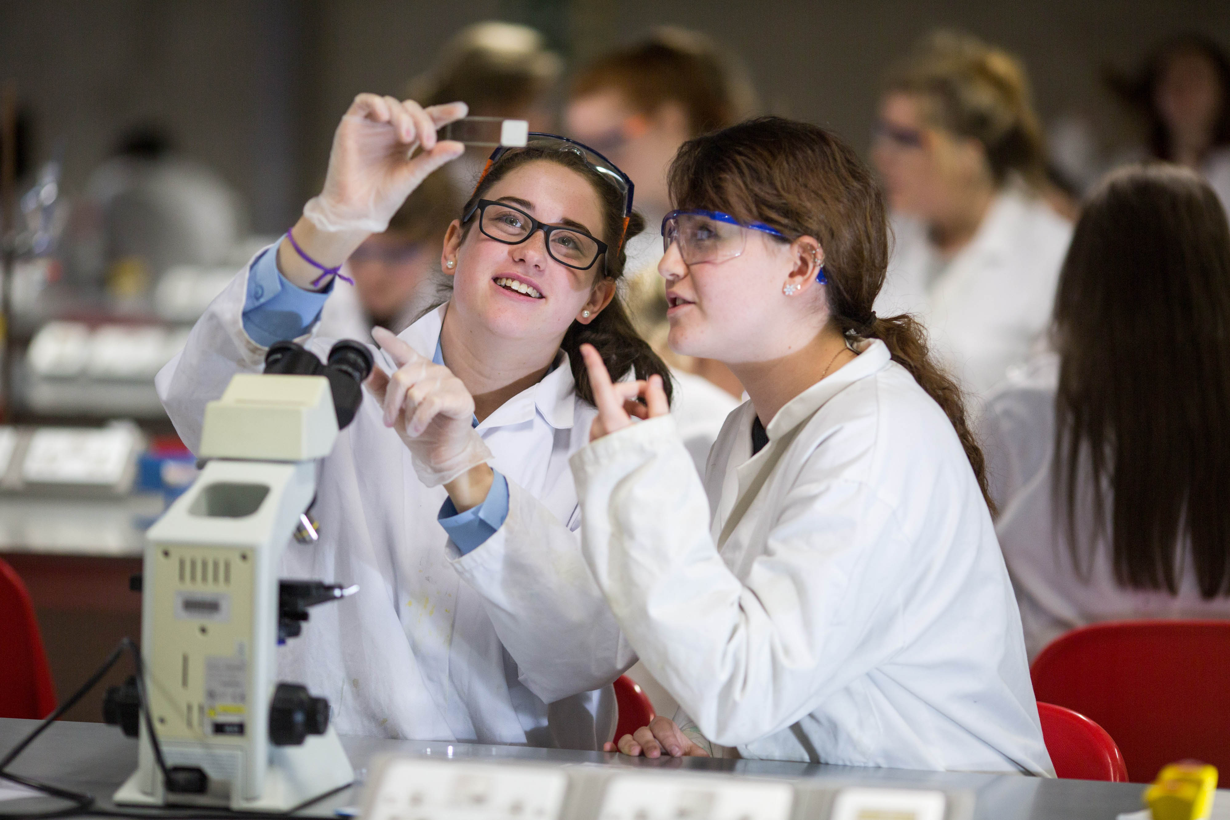 Biology University Students Workshop Erin Limerick Fitzgerald Hands Experie...