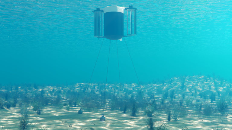 Tidal energy device proposed for Shannon Estuary