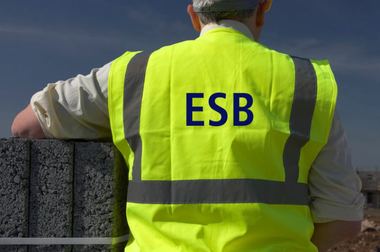 ESB scam caller led to distraction theft