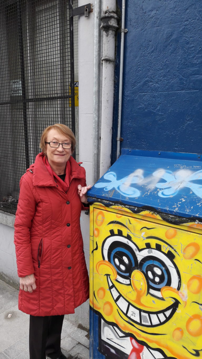 Elenora’s artistic vision for utility boxes in Limerick