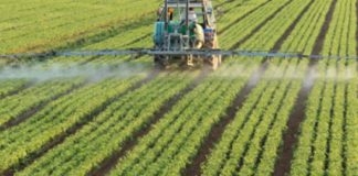 Spraying pesticide