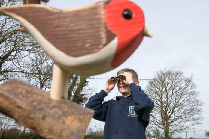 Wyeth Birdfeeder Ballysteen 0037