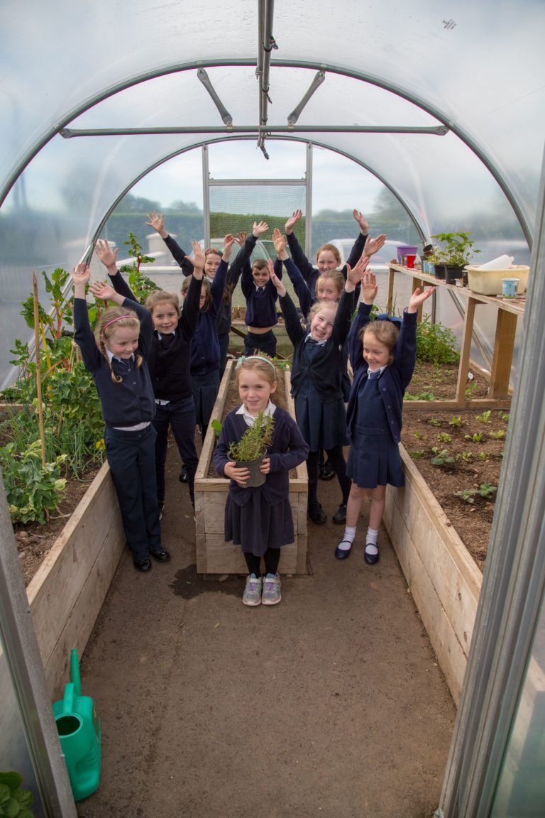 2 Limerick primary schools amongst finalists for Eco Ranger awards