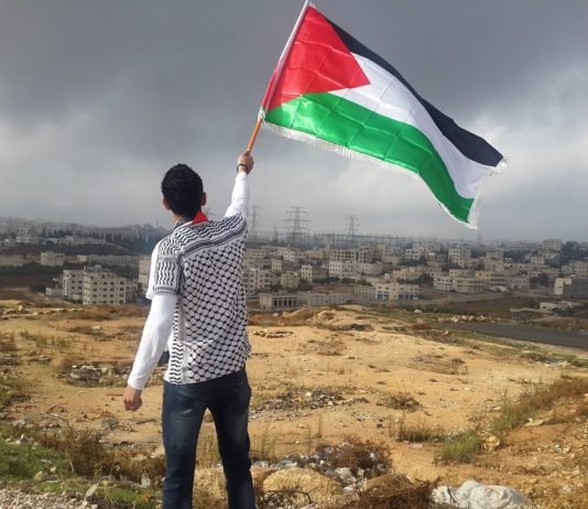Ireland-Palestine Solidarity Campaign palestinian protest