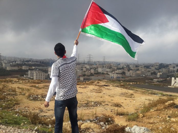 Ireland-Palestine Solidarity Campaign palestinian protest