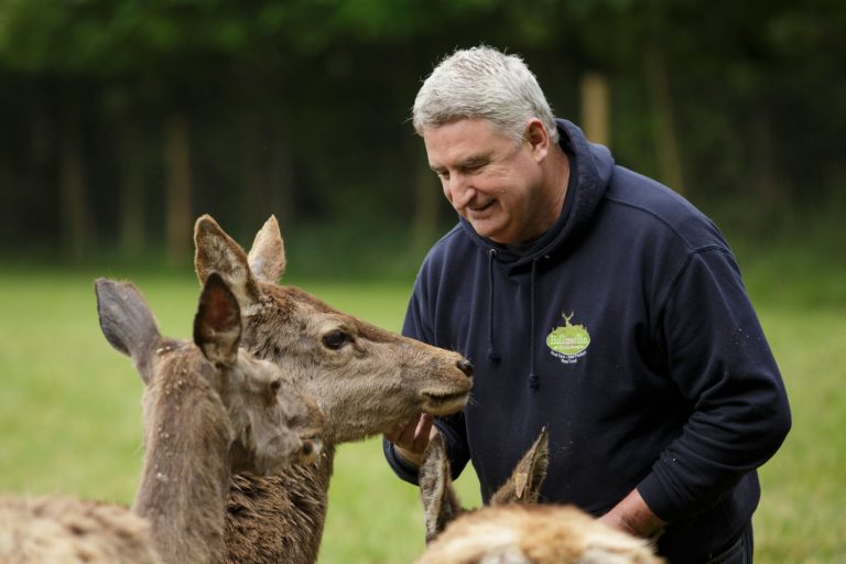 Farmer raised in West Limerick developing a garden devoted to mindfulness