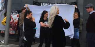 repeal anti-abortion pro-choice limerick ireland business protest politics