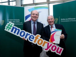 Library Strategy - Limerick Post Newspaper
