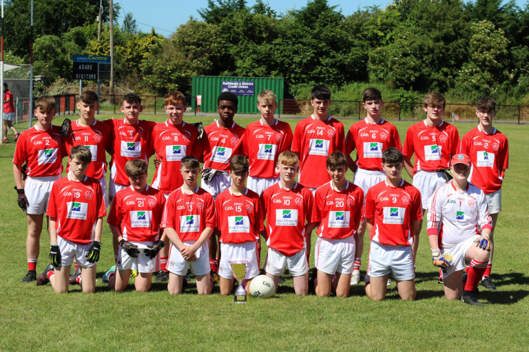 Limerick GAA Notes