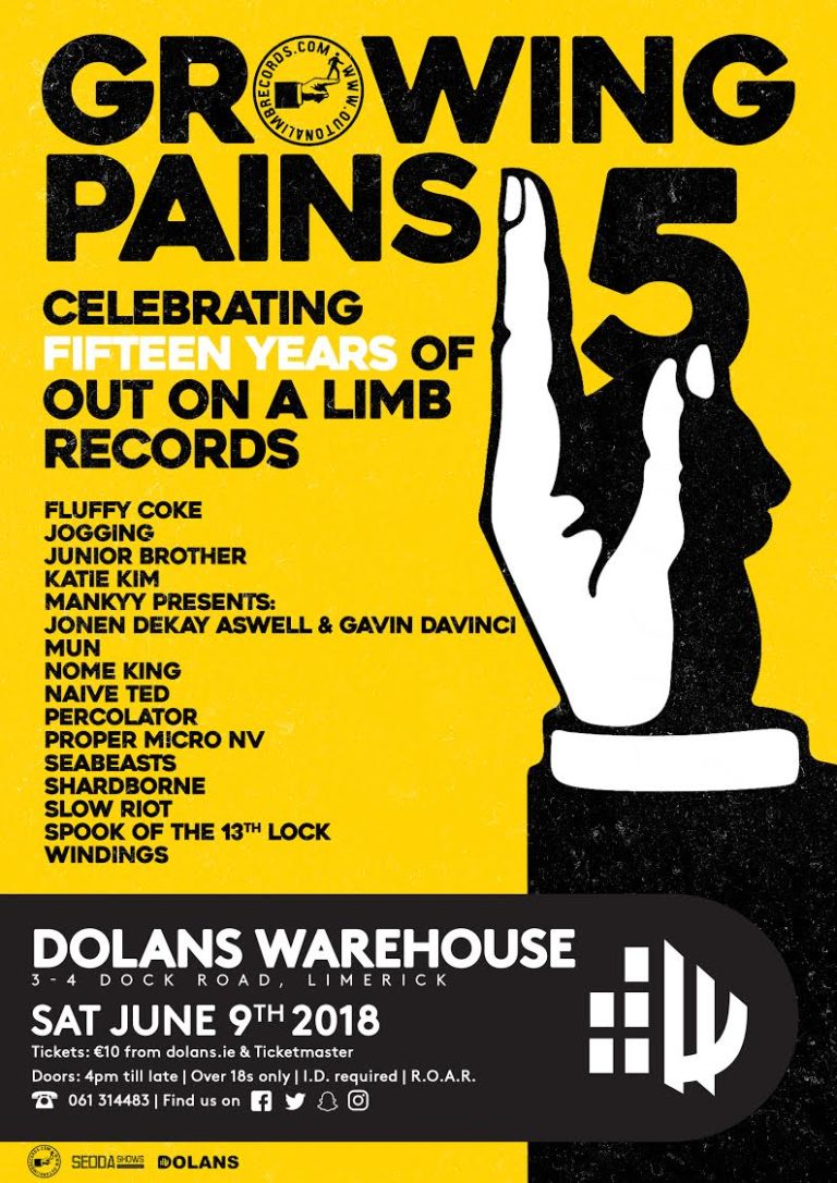 Limerick record label  Out on a Limb celebrates 15 years