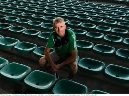 HURLING fever has gripped Limerick as the county prepares to tackle Cork in the semi-final of the All-Ireland Senior Championship at Croke Park next Sunday sport news limerick post newspaper media