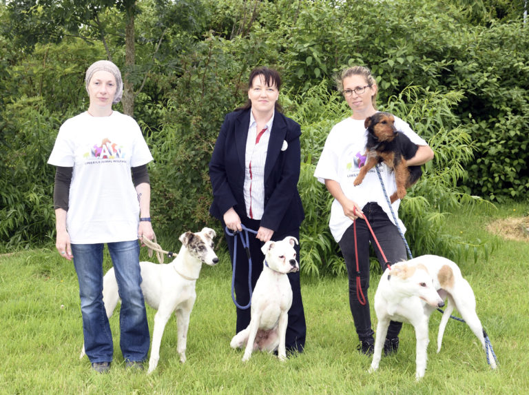 Animal Welfare sanctuary to benefit from Tesco fund