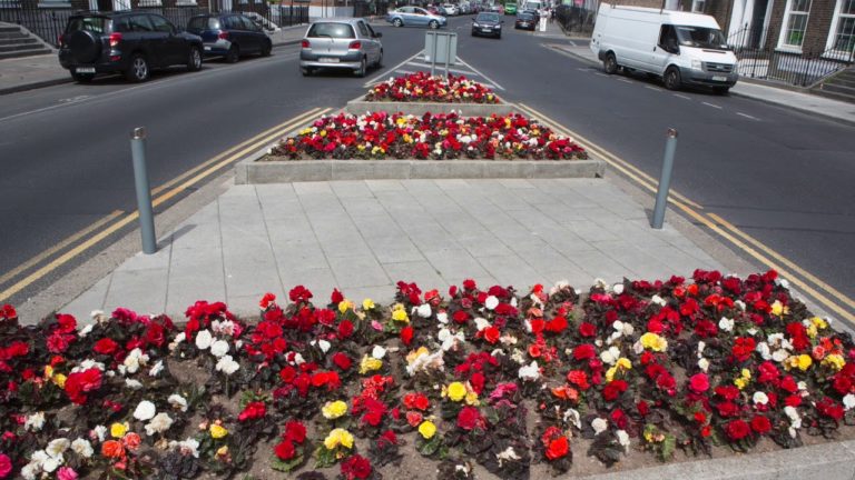 Blooming floral displays bring splash of colour to Limerick city centre