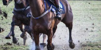 Limerick's Conor McNamara rides first career winner in Killarney - Limerick Post Newspaper