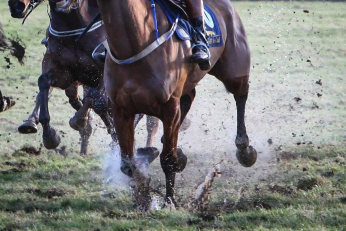 Limerick's Conor McNamara rides first career winner in Killarney - Limerick Post Newspaper