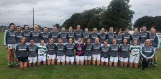 Limerick ladies secure All Ireland final place - Limerick Post Newspaper