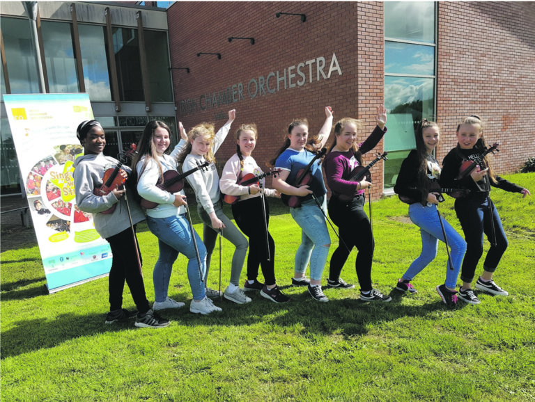 Limerick string sing out for Ireland