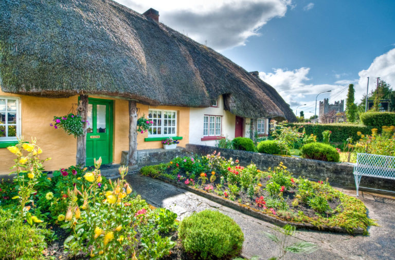 Limerick takes silver and bronze awards in Tidy Towns
