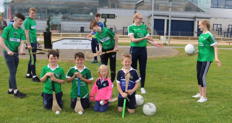 Hurlers to bring McCarthy cup to Limerick Greyhound Stadium