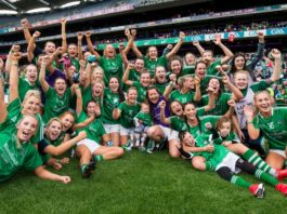 Limerick sport gaa croke park trophy Limerick Post news champions