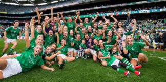 Limerick sport gaa croke park trophy Limerick Post news champions