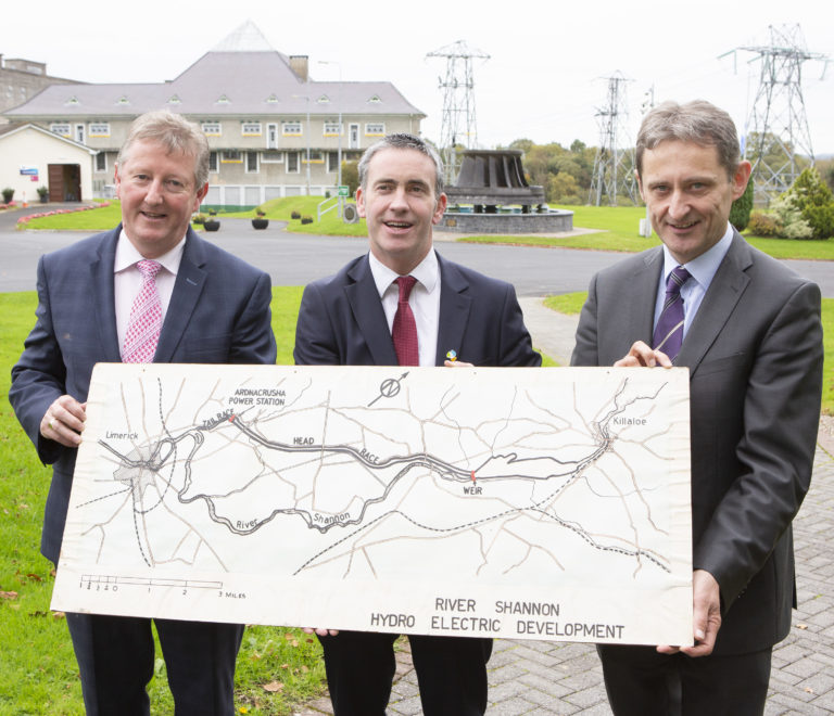 Working group to improve Shannon fish passages