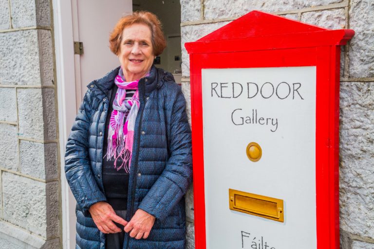 A lot going on behind the Red Door in Newcastle West
