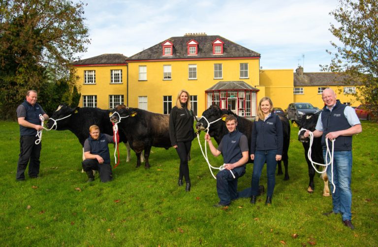 Rwandan government purchases bulls through Limerick-based aid agency Bóthar