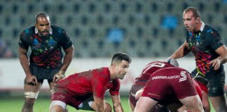 Conor Murray of Munster during the Guinness Pro14 Round 9 game between Zebre Rugby Club and Munster Rugby at Stadio Lanfranchi in Parma, Italy. Photo by Roberto Bregani/Sportsfile