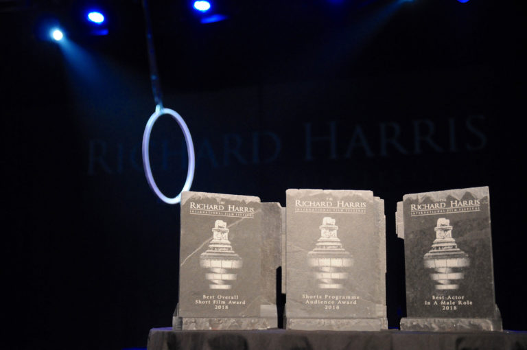 Two Limerick cultural projects nominated for national awards