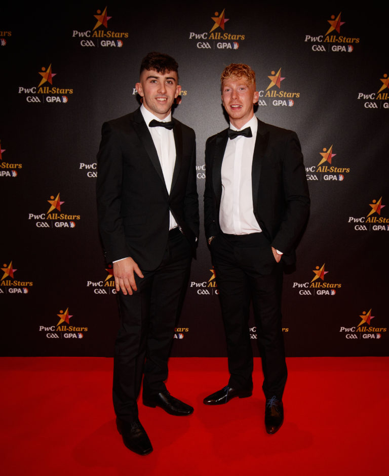 Six All-Star awards for All-Ireland winning Limerick side