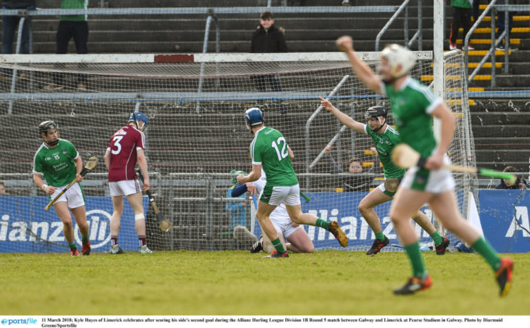 Limerick’s All-Ireland journey
