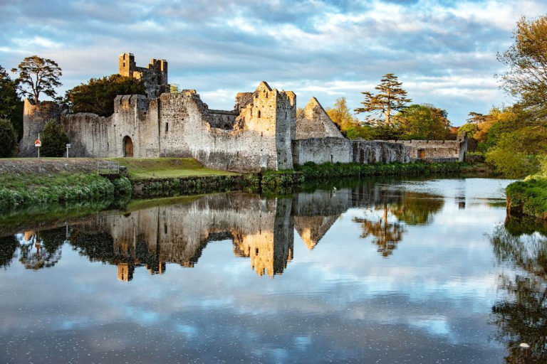 Limerick goes wild for tourism campaign