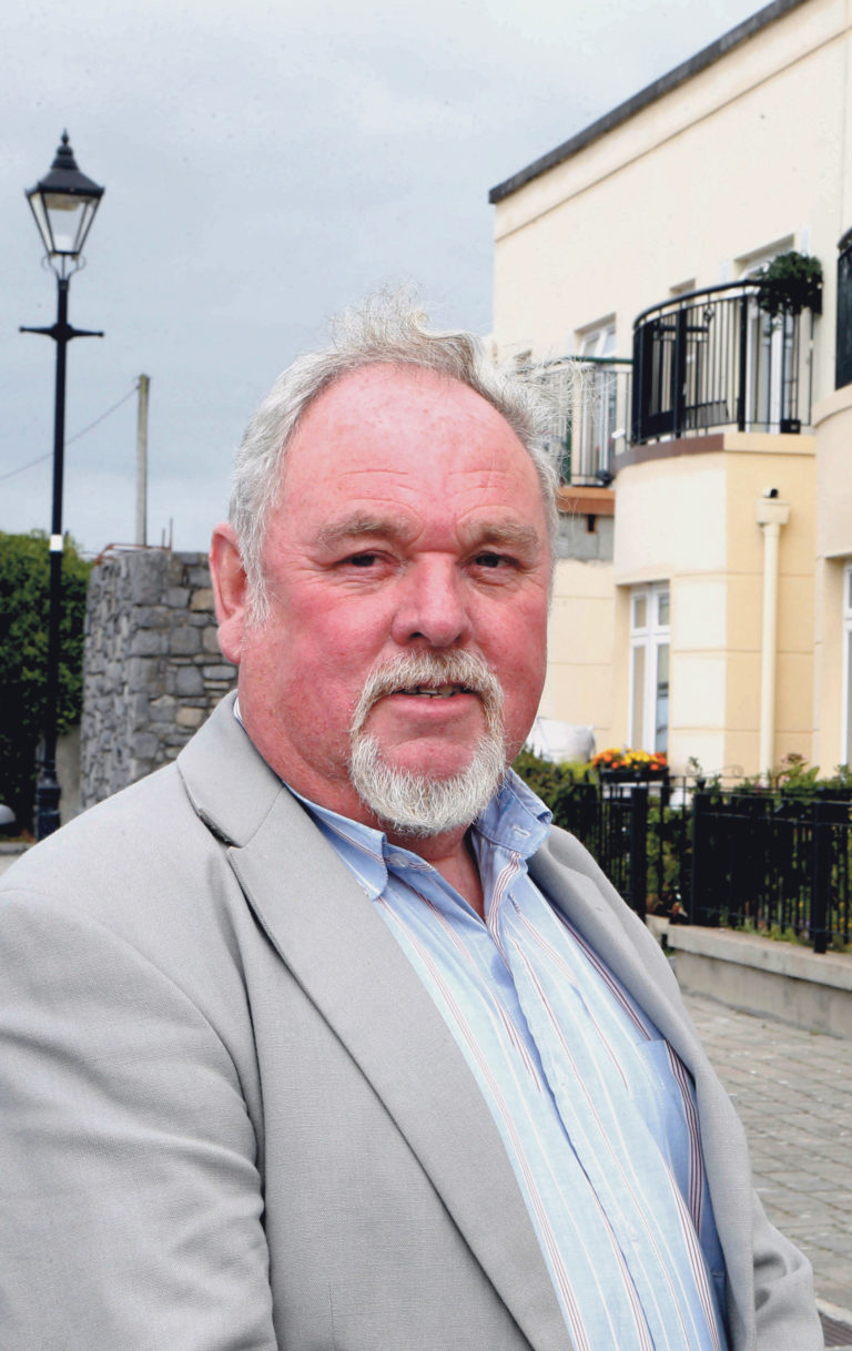 Limerick City councillors support for battery ban