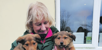 LAW Sanctuary Manager Marie O’Connor with Sugar and Spice at the Kilfinane Sanctuary.