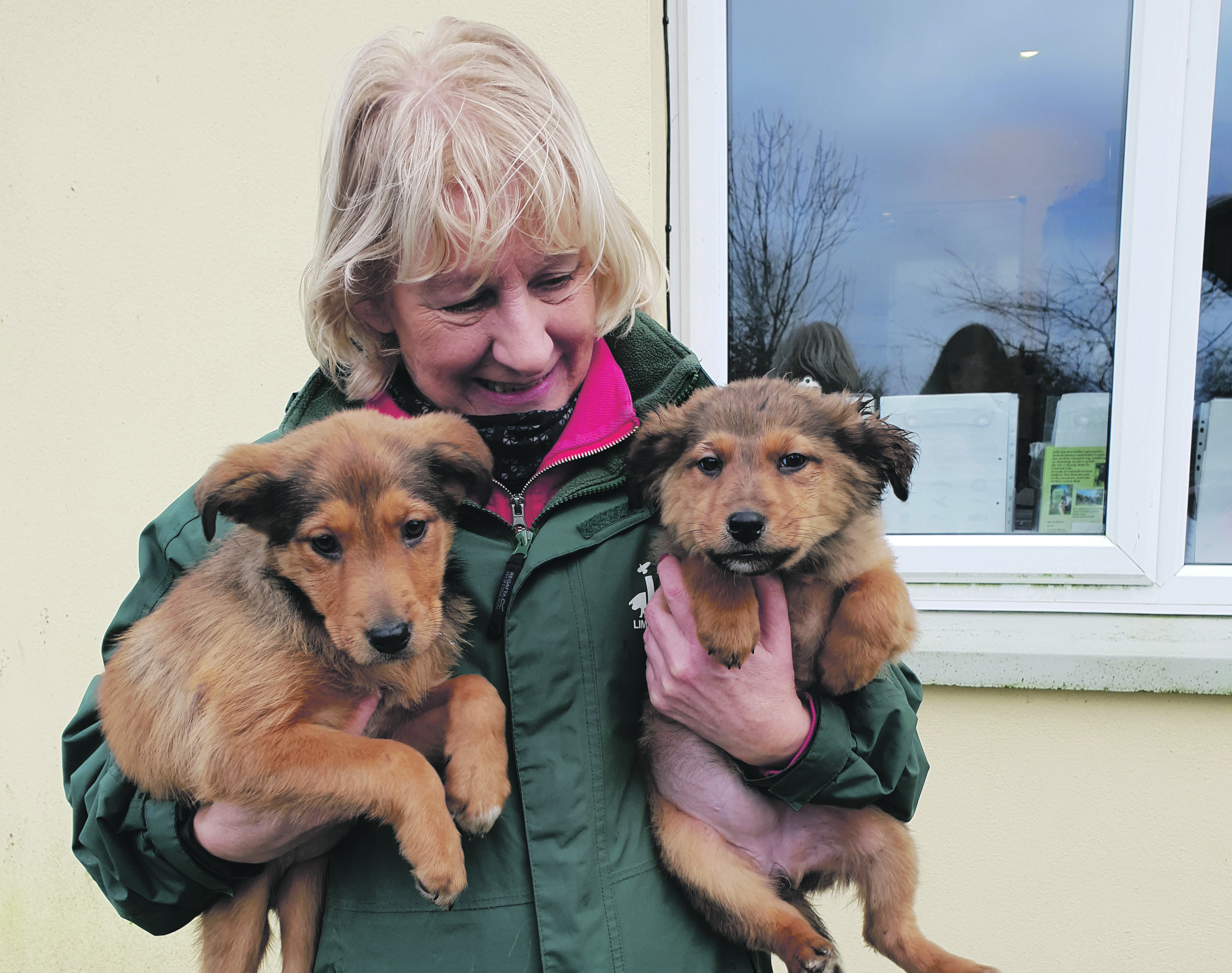 LAW Sanctuary Manager Marie O’Connor with Sugar and Spice at the Kilfinane Sanctuary.