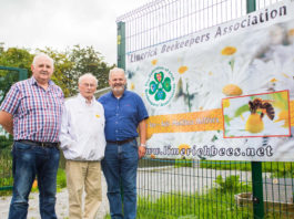 Tom O'Brien, Liam Arrigan and Gus McCoy of the Limerick Beekeepers Association at the apiary in Mungret. Photo: Cian Reinhardt