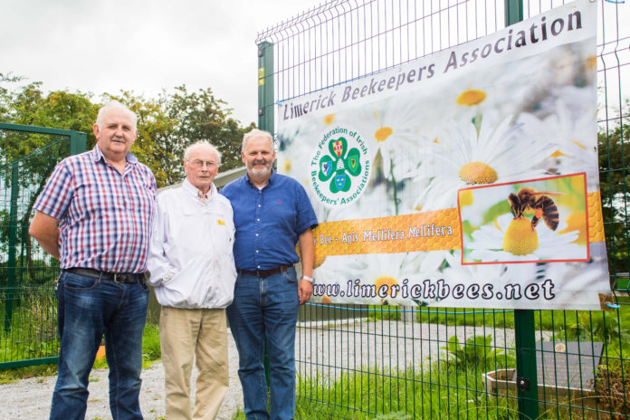 Tom O'Brien, Liam Arrigan and Gus McCoy of the Limerick Beekeepers Association at the apiary in Mungret. Photo: Cian Reinhardt