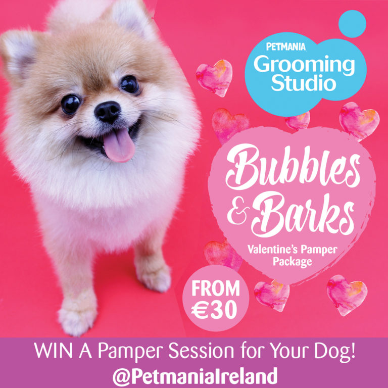 Competition: Bubbles & Barks Valentine’s Pamper Package at Petmania