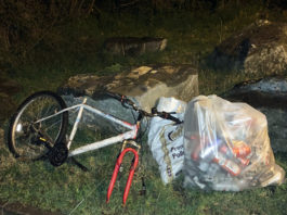 Some of the rubbish that was dumped at the Rhebogue entrance to the Canal Bank.