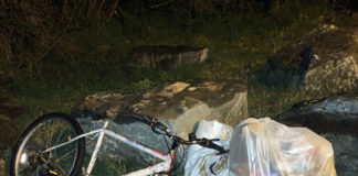 Some of the rubbish that was dumped at the Rhebogue entrance to the Canal Bank.