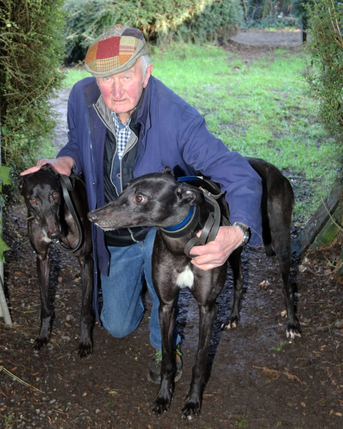 Veteran trainer Denis O Malley with greyhounds Clearly Written and Farrihy Flyer at his kennels in Drombanna, Co. Limerick. Photo: Brendan Gleeson