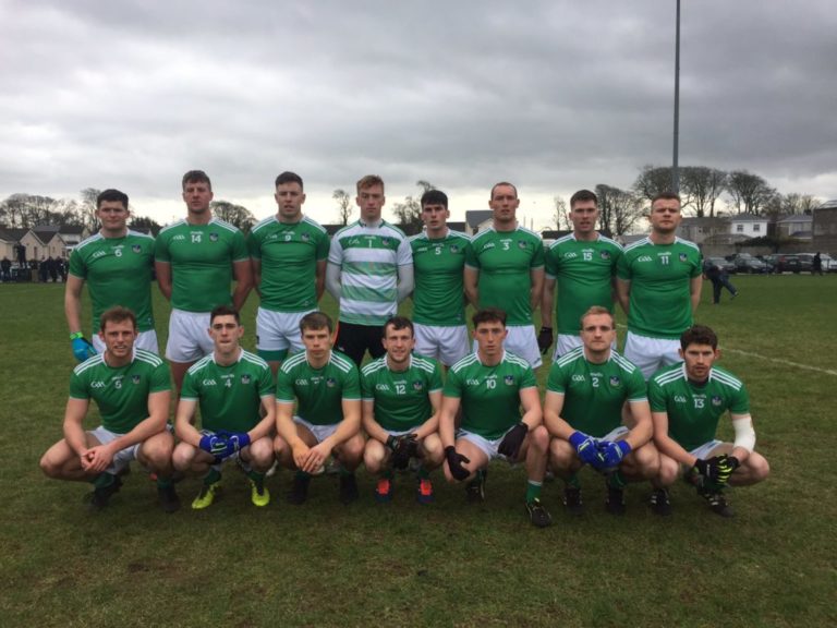 Billy Lee names Limerick team for Wicklow test