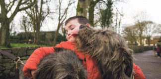 Ronan Behan from Kildimo gets up close and personal with the Irish wolfhounds that were re-introduced to Bunratty Folk Park last year. Photo: Sean Curtin