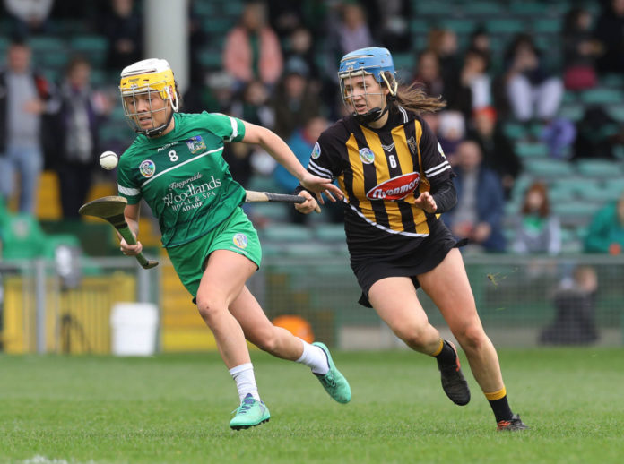 EDITORIAL USE ONLY Littlewoods Ireland Camogie League Division 1 Round 5, Gaelic Grounds, Limerick 24/2/2019 Limerick vs Kilkenny Limerick's Karen O'Leary and Claire Phelan of Kilkenny Mandatory Credit ©INPHO/Lorraine O’Sullivan