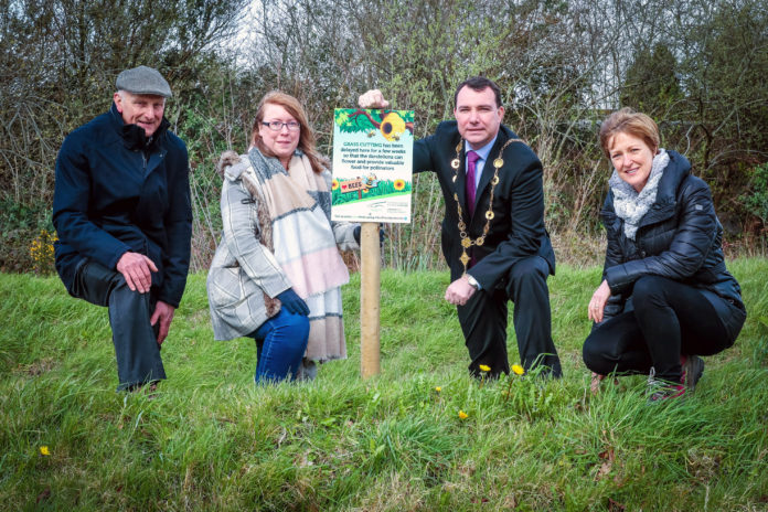 Mayor of Limerick City and County, James Collins with Michael Sheehan, LCCC Parks Department, Sharon Lynch, LCCC Environmental Technican and Anne Goggin, LCCC Senior Executive Engineer. PIcture: Keith Wiseman