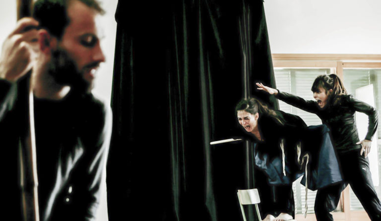 Merlin and his many facets