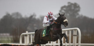 Cliff House and Cathal Landers jumps the last flight when winning the TRM Kurasyn 360X Handicap Hurdle. Leopardstown. Photo: Patrick McCann/Racing Post Limerick Post Newspaper