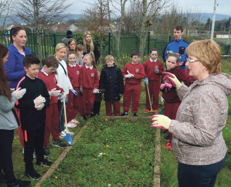 All is rosy in the Corpus Christi garden